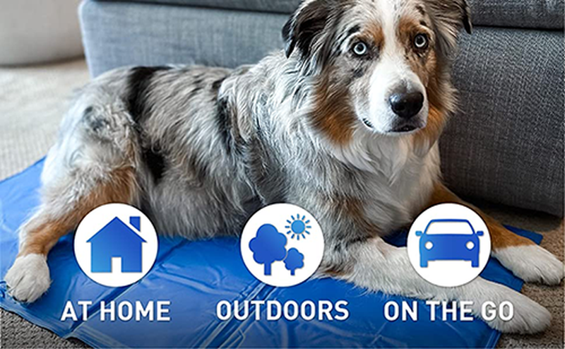 Pet cooling mat Pet cooling mat
